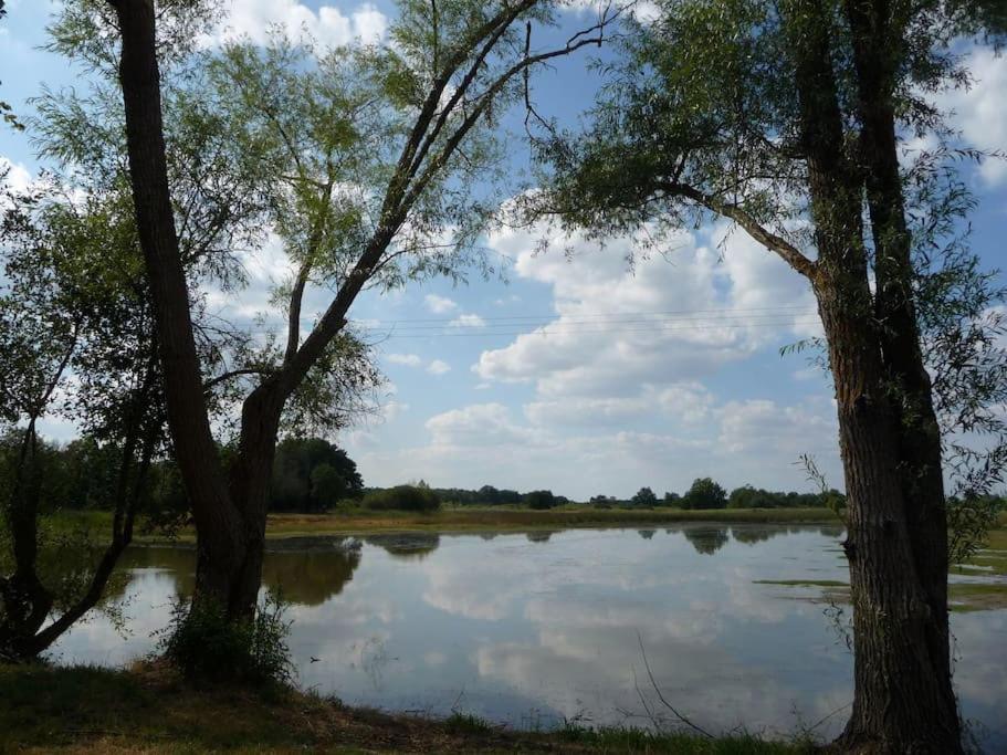 Bed and Breakfast Le Prieure De Loups Saint-Michel-en-Brenne Exteriér fotografie